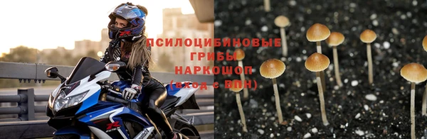 стафф Армянск