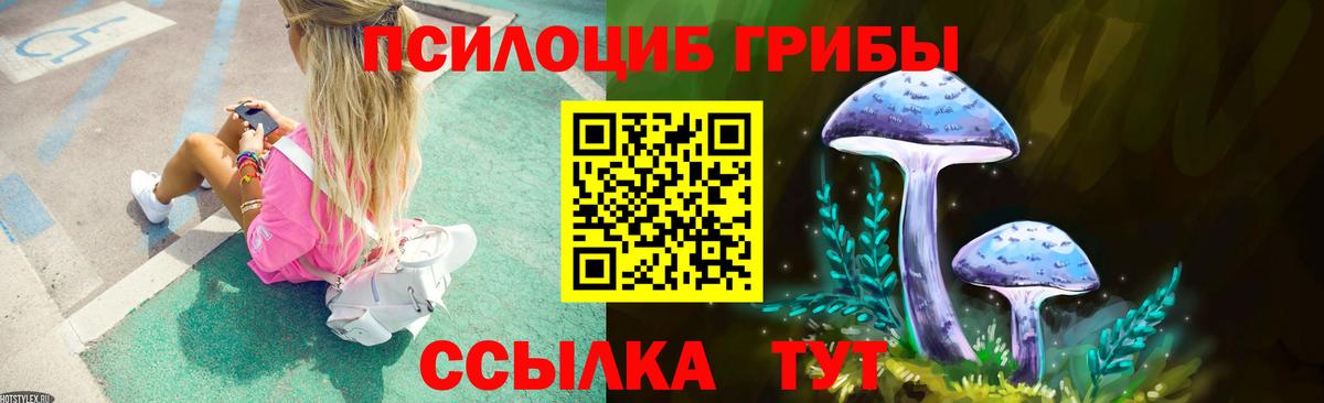 Псилоцибиновые грибы Psilocybine cubensis Елабуга