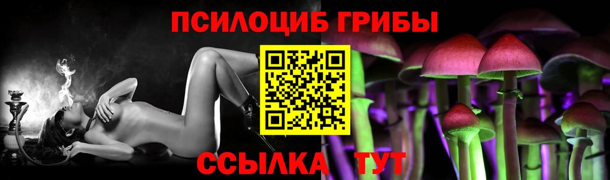Галлюциногенные грибы Cubensis  Вход с VPN  Елабуга 